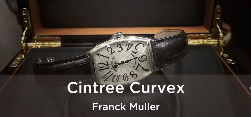  Cintree Curvex Franck Muller